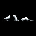 Miniature Animals for dioramas